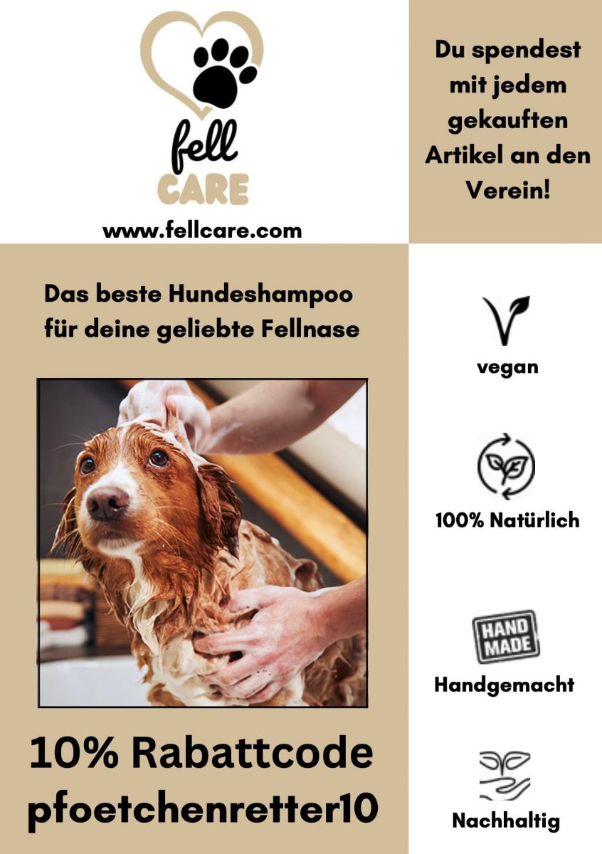 Anzeige mit 10 % Rabatt auf veganes Hundeshampoo über den Rabattcode "pfoetchenretter10" auf fellcare.com