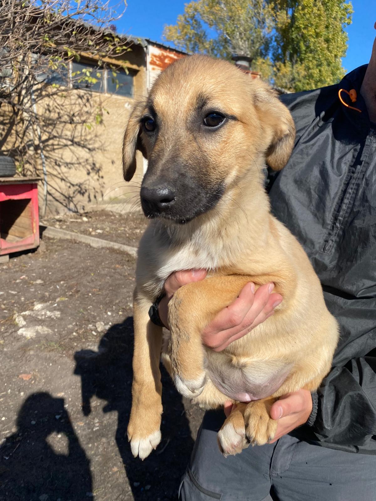 „Clementine“, ca. 07.2025 geboren, aktiv und verspielt.