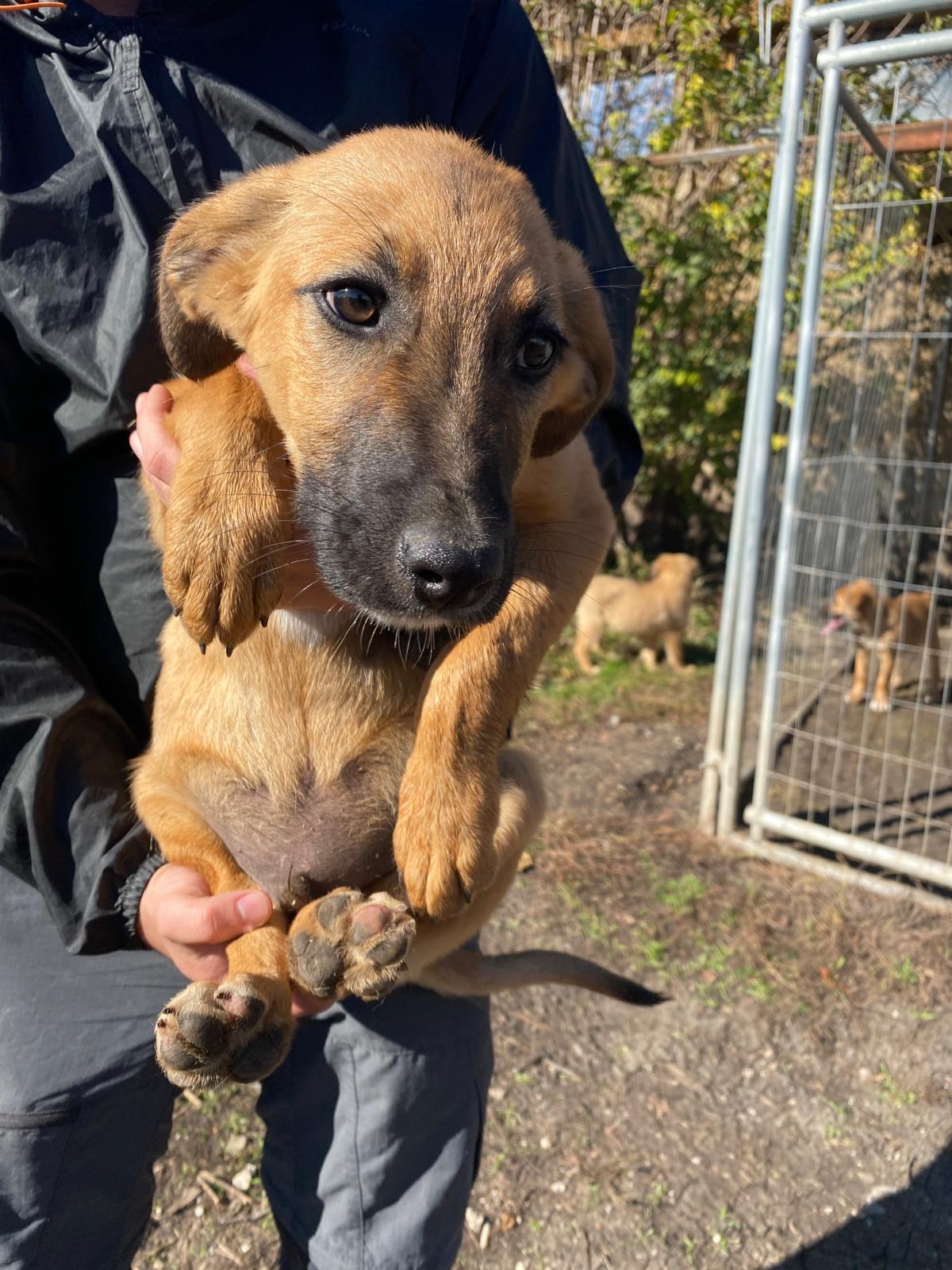 „Franz“, ca. 07.2025 geboren, aktiv und verspielt.
