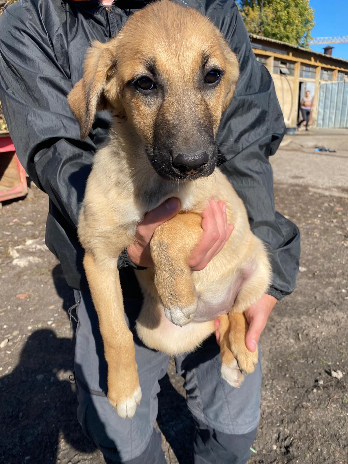 „Ilona“, ca. 07.2025 geboren, aktiv und verspielt.