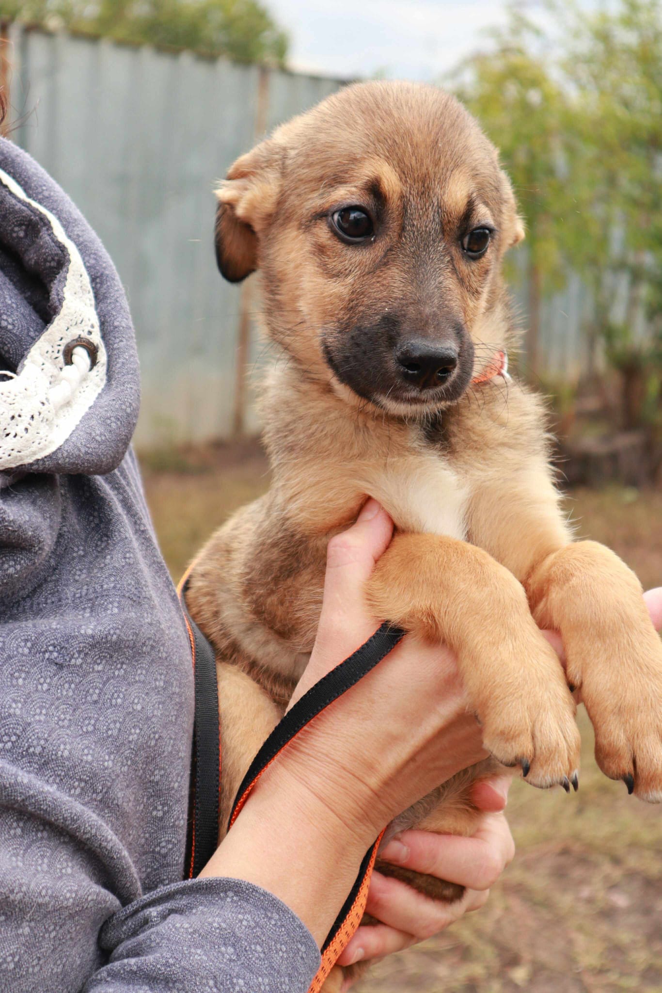 „Mechthild“, ca. Juli/August 2025 geboren, sucht Familienanschluss.