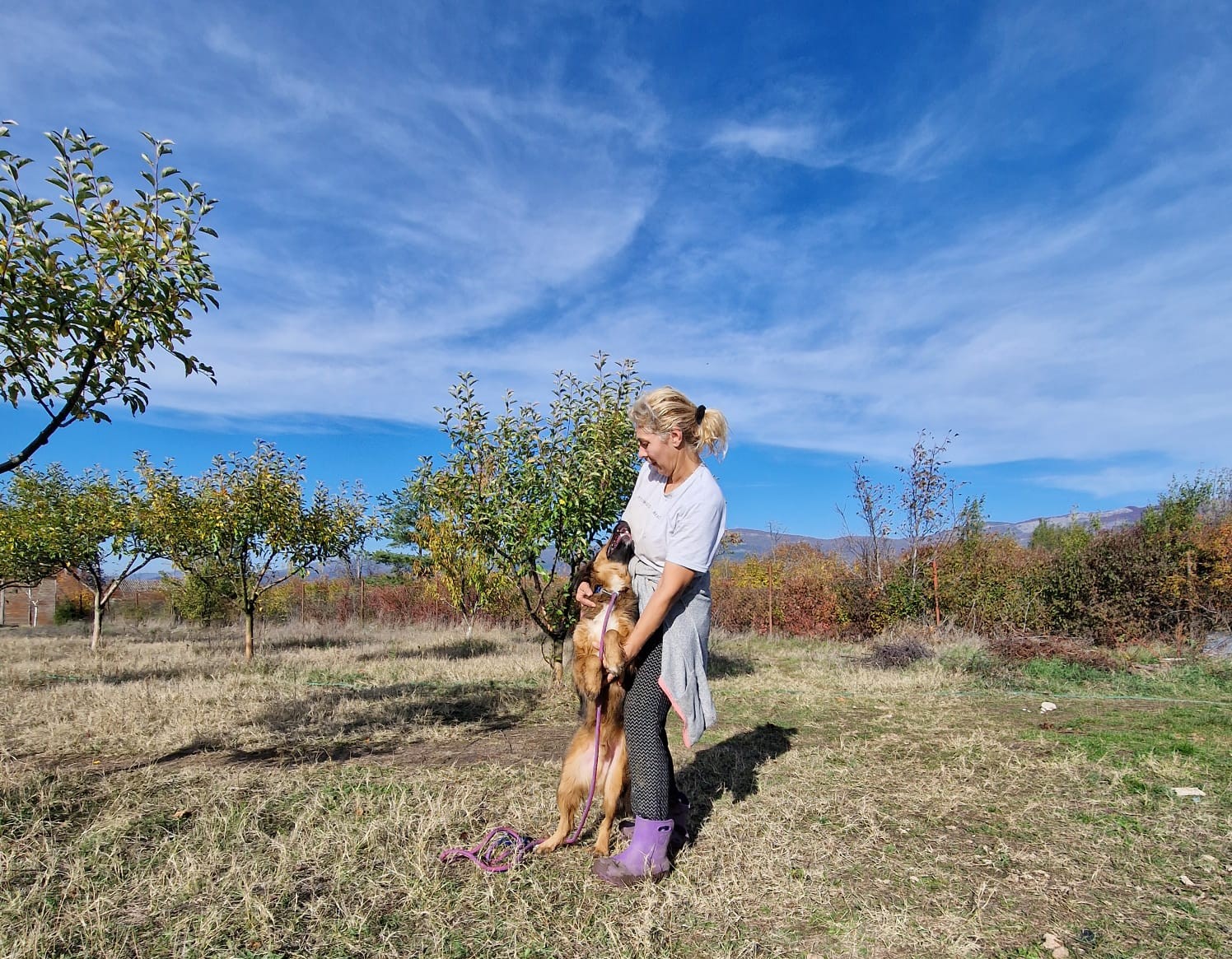 „Soni“, lieber Mischlingsrüde, ca. 2022/2023 geboren, gut verträglich, noch scheu.