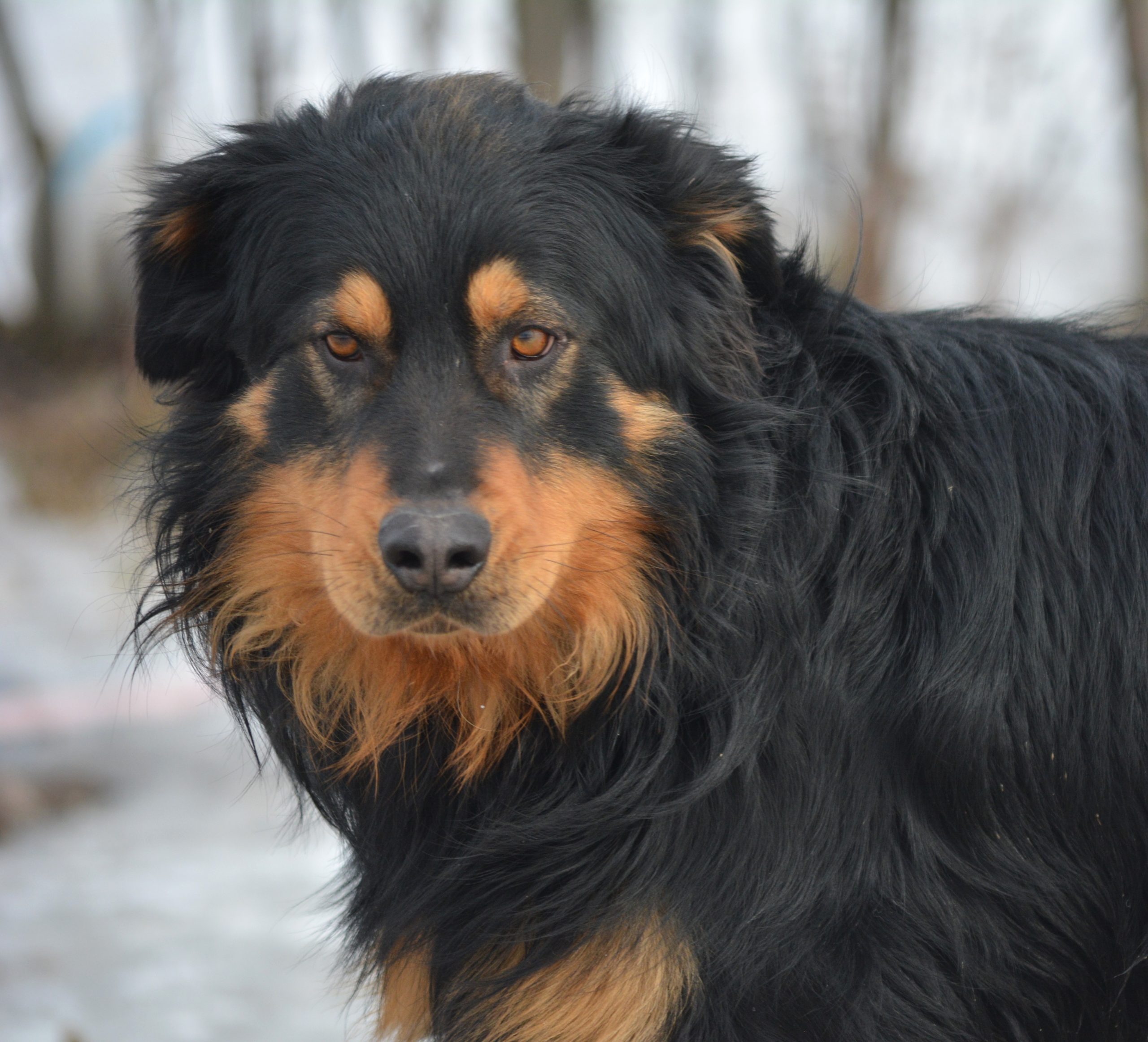 „BUBU“, ca. 2023 geboren, ausgeglichen und freundlich.