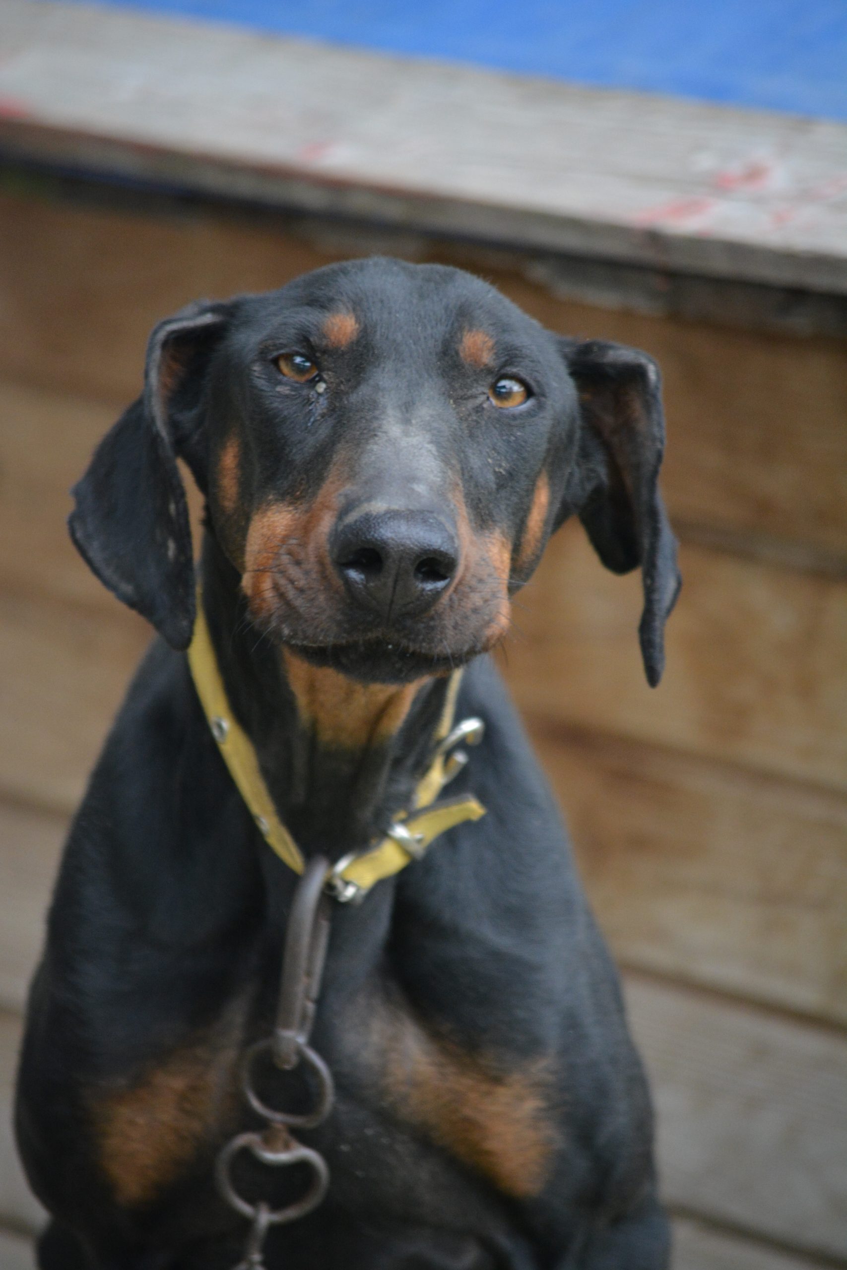 „Irina“, ca. 2023/2024 geboren.