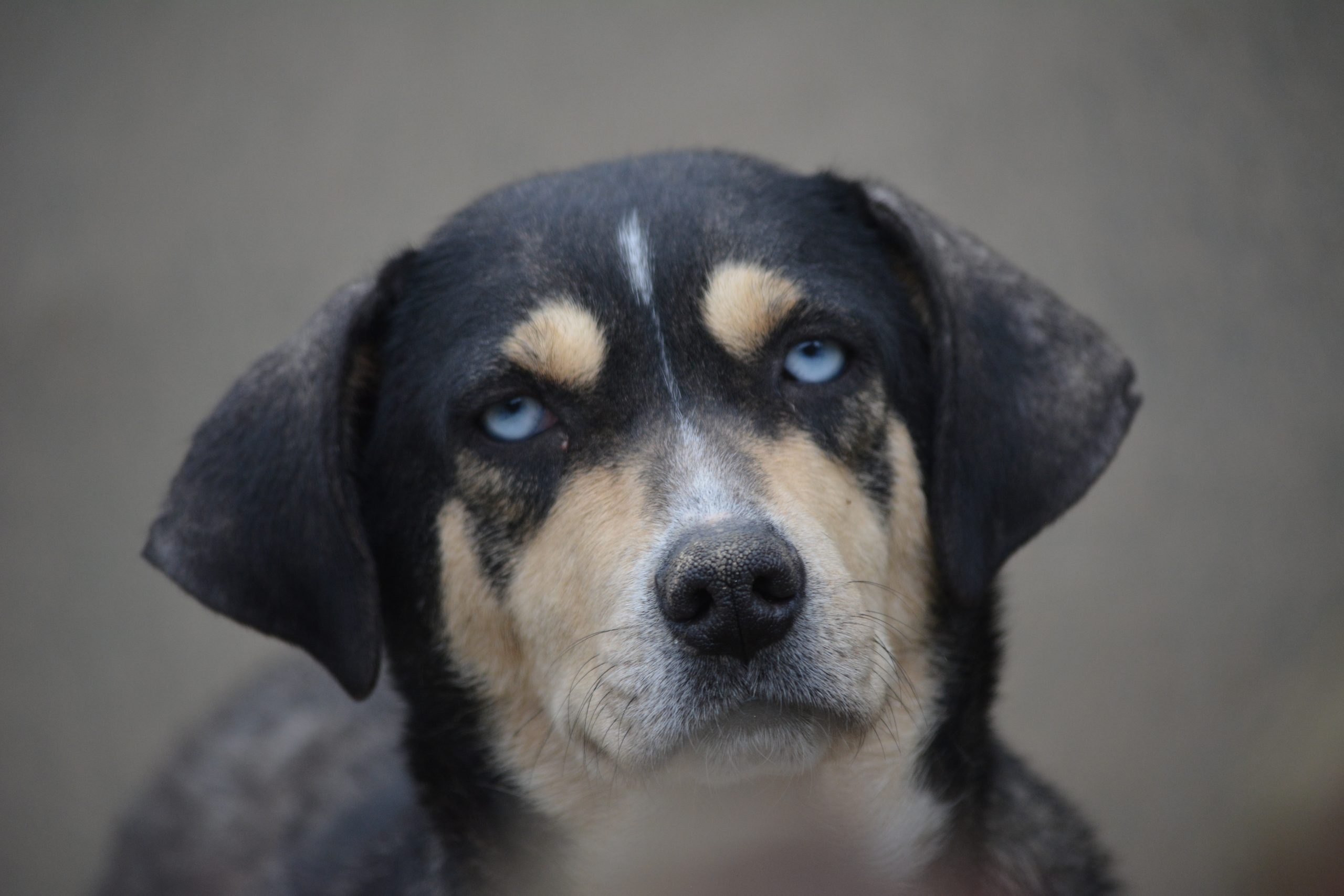 „Mia“, ca. 2023/2024 geboren.