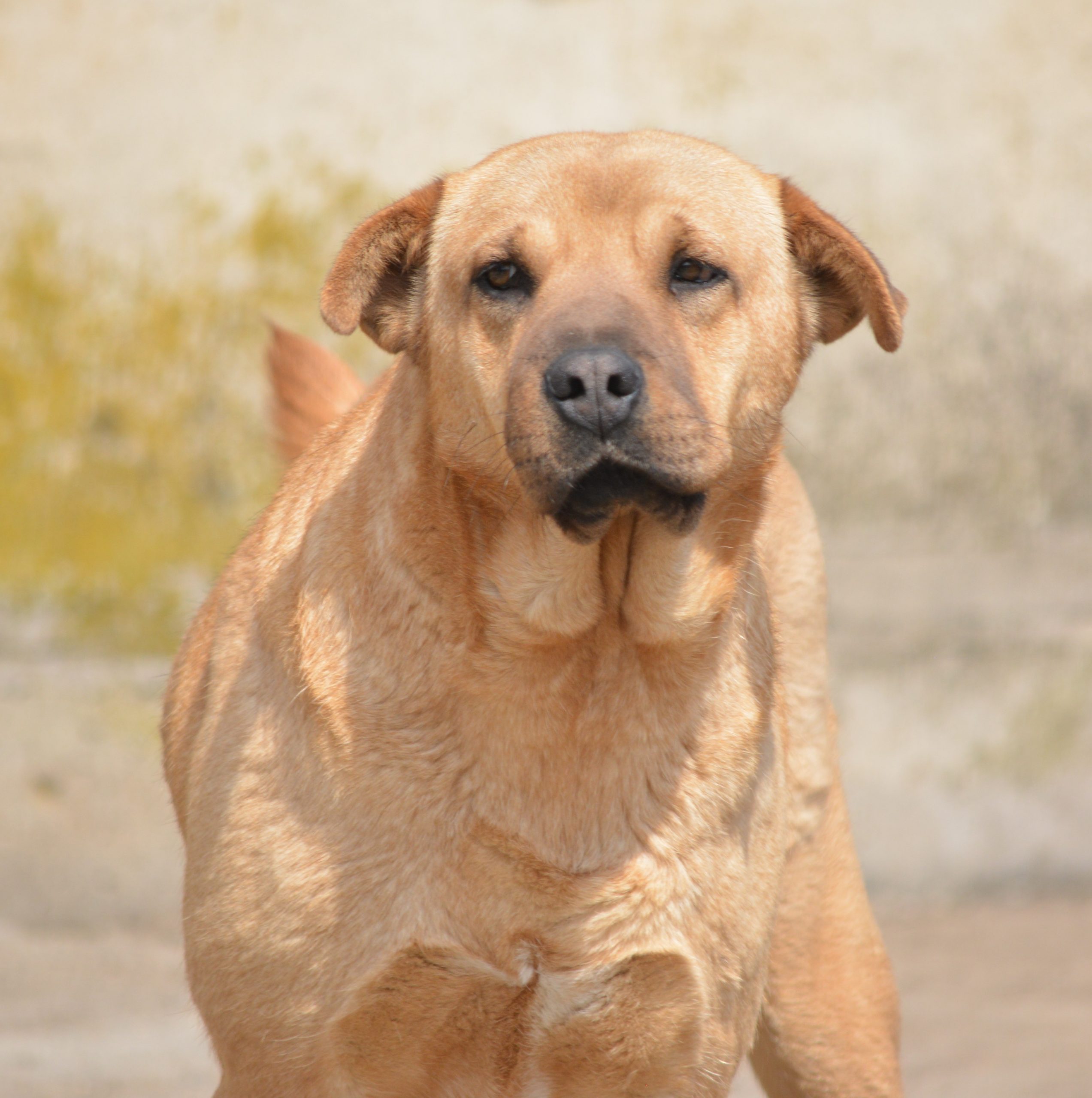 „Molly“, ca. 2024 geboren, selbstbewusst und aktiv.