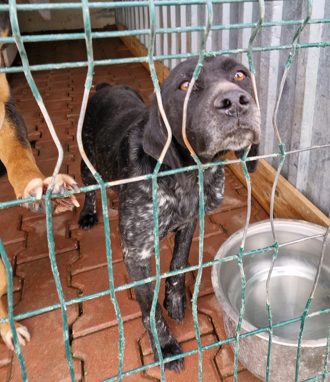 „Sophie“, ca. 2022 geboren.