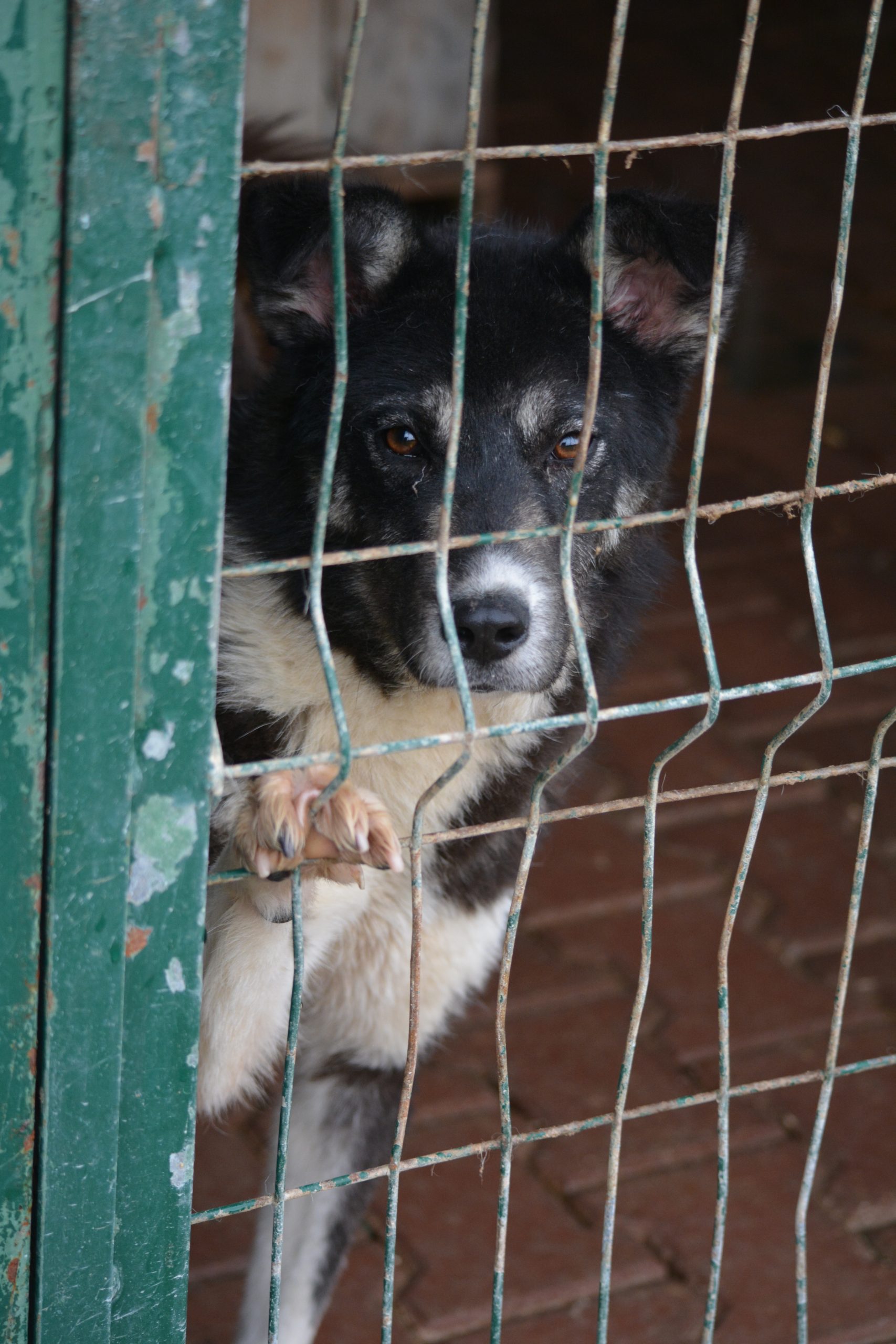 „Tania“, ca. 2022/2023 geboren.