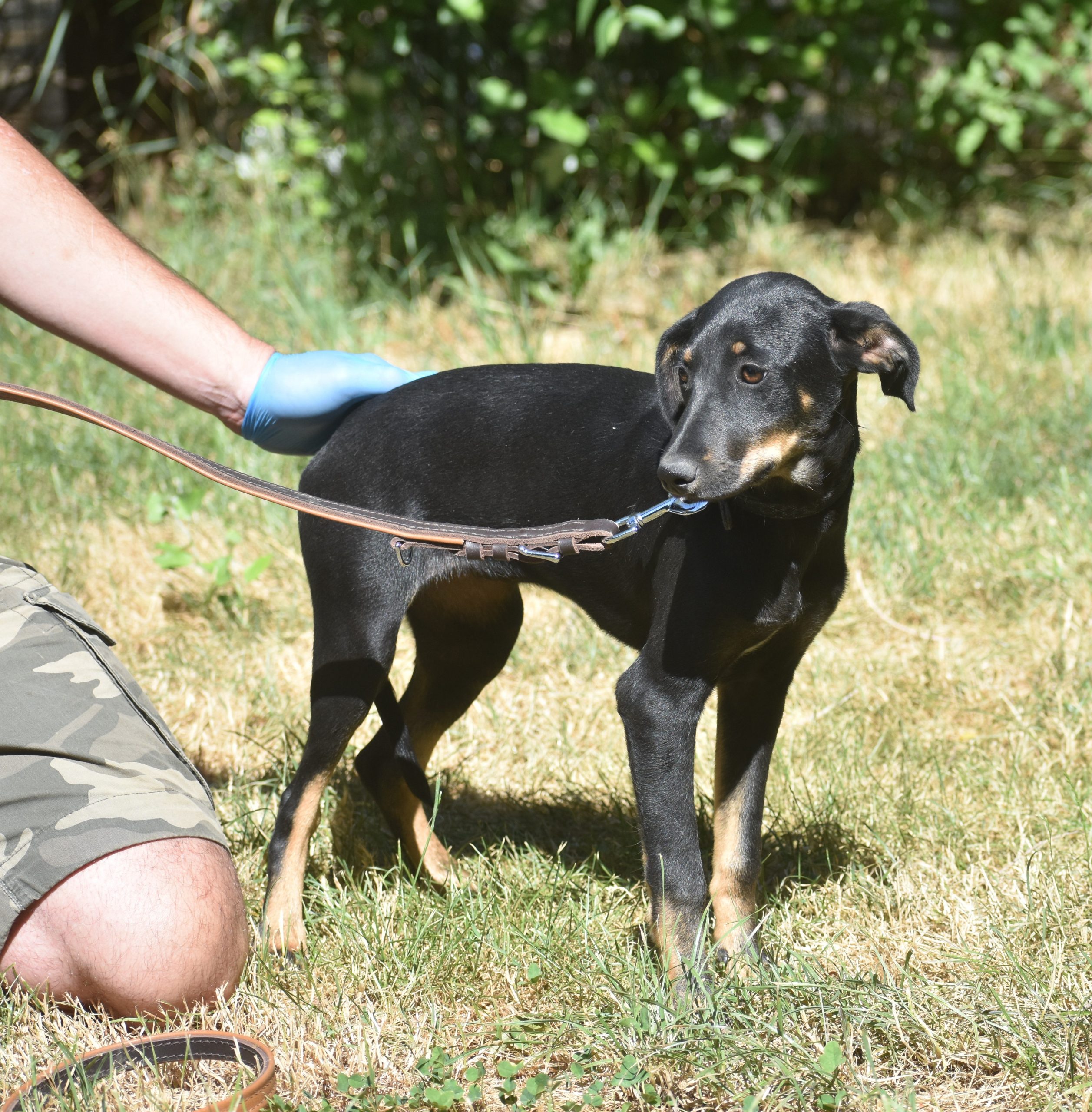 „Greta“, geboren 2026, sucht ein liebes Zuhause.